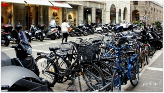 bikes in Padova